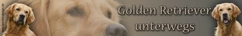 Golden retriever sticker - retriever,