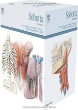 Sobotta Lernkartenpaket | Buch