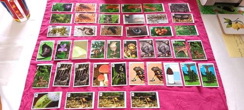 Wwf sammler klebe bilder - sammler,