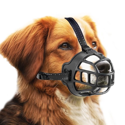 Maulkorb hund schwarz - maulkorb,