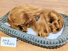 Heal Sorrow realistischer