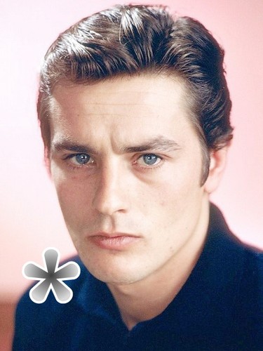 Foto alain delon - foto,