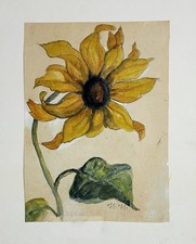 Sonnenblume sun flower //