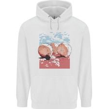 Petanque Kugeln Boules Bowls