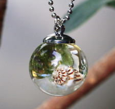 Kette Muschel Mondstein Moos silber Meeresboden Geschenk Frau Freundin Mutter