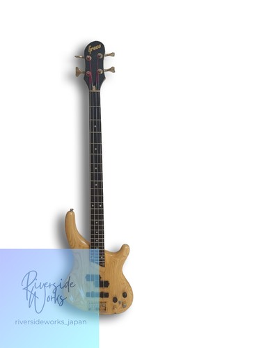 Greco phoenix bass pxb80 - greco,
