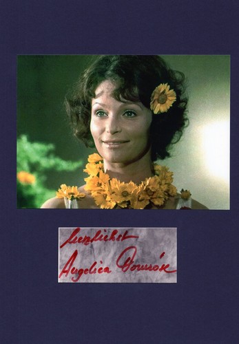 Angelica domröse original - domröse+,