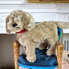 Raudi, Hund mit rotem