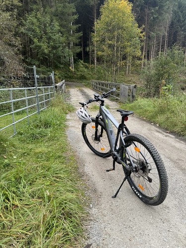 E-Bike neuwertig