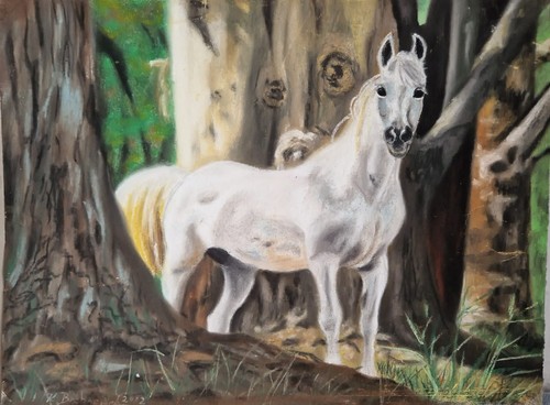 Kreidebild gebraucht 30 - 40,