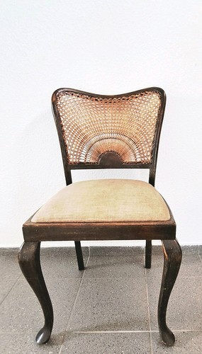 Chippendale stuhl mohair - (1),