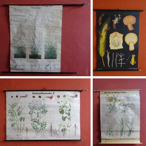 Alte schulwandkarte - 4x,