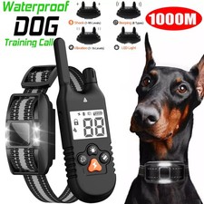 Hundetrainingshalsband