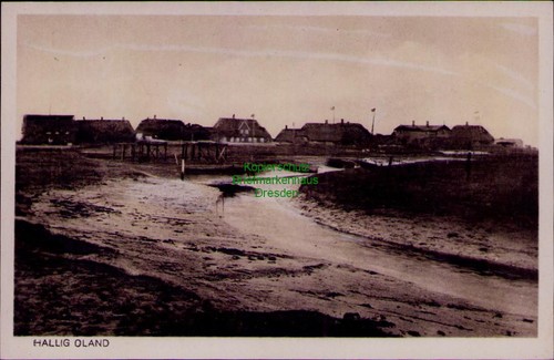 195565 hallig oland - hallig,