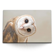 120x80cm Wandbild auf Leinwand