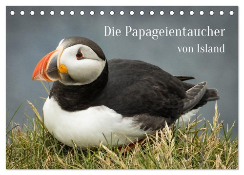 Die papageientaucher von - papageientaucher,