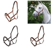 % Kavalkade Lederhalfter