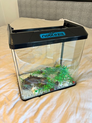 Nobleza aquarium komplettset - nobleza, aquarium-komplettset