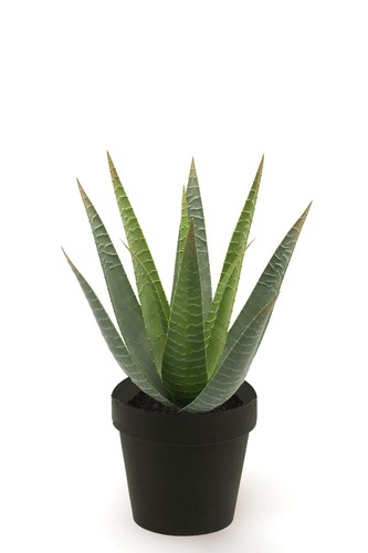 Künstliche aloe vera pflanze - künstliche,