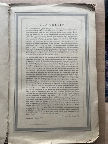 Stollwerck aus dem - -,
