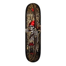 Powell Peralta Zach Doelling