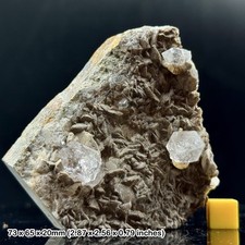 Seltener Herkimer Diamant Quarz mit natürlichen Doppelabschlüssen aus Belutschistan