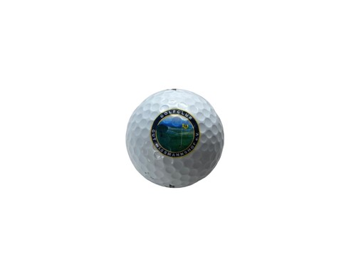 Dunlop golfball steelcore ddh - dunlop,