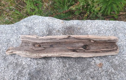 Treibholz skulptur astloch - treibholz,