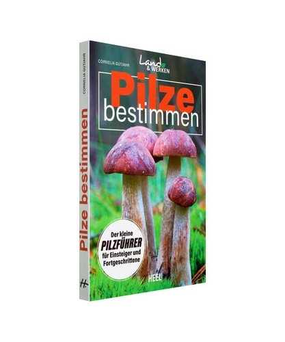 Pilze bestimmen der kleine - bestimmen,