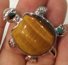 Charming Schildkröte Typ