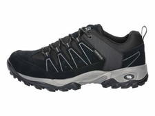 EB Brütting Mount Pinos