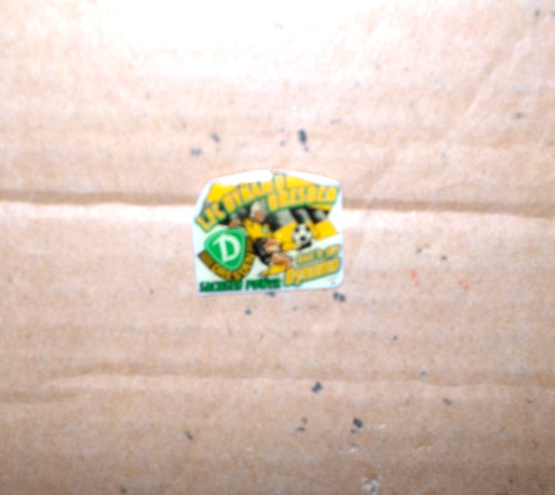 Dynamo dresden pin - dynamo,