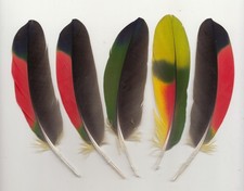 Bunte farbige - 5,