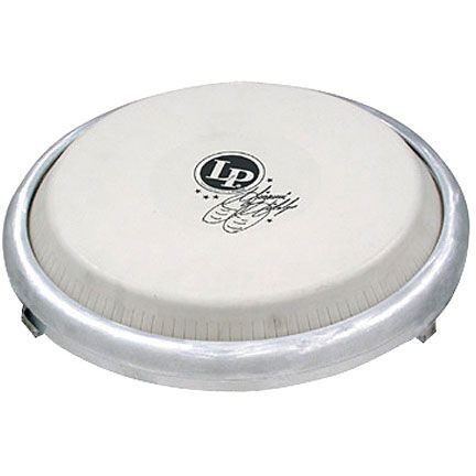 Conga latin percussion - latin,