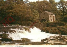 Ansichtskarte:;Cenarth Falls