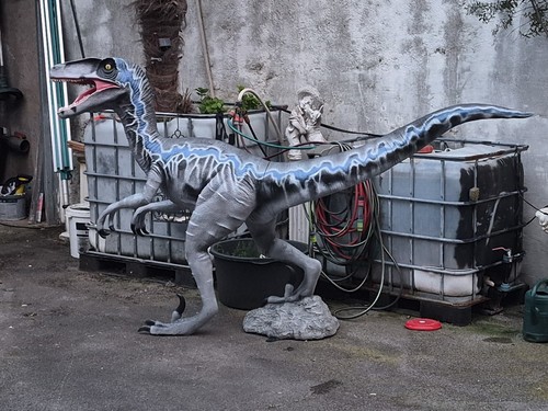 Dinosaurier jurassic blue - jurassic,