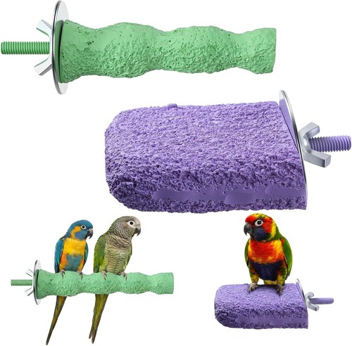 Vogel sitzstangen mit - vogel,