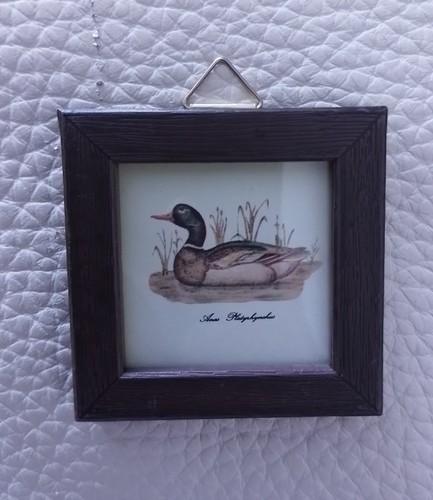 Miniatur bild mit ente - mit,