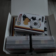 Panini WM 2010 Team Cards