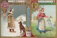 81/79 SAMMELBILD ESKIMO HUND PELZ SPEER - FLORENZ BLUMEN KLEIDUNG KORB HUT