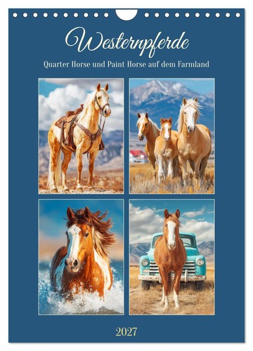 Westernpferde quarter horse - westernpferde.,