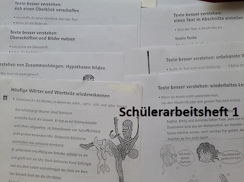 Lesetrategien texte verstehen - texte,