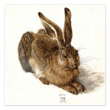 Poster Hase - Albrecht Dürer