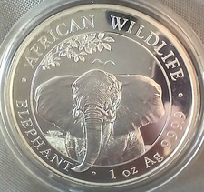 2021 - SOMALIA ELEPHANT  - 1