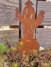 Edelrost kaktus mini - kaktus, mini-saguaro