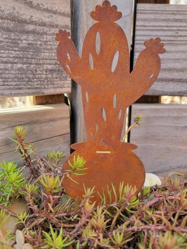 Edelrost kaktus mini saguaro - kaktus, mini-saguaro