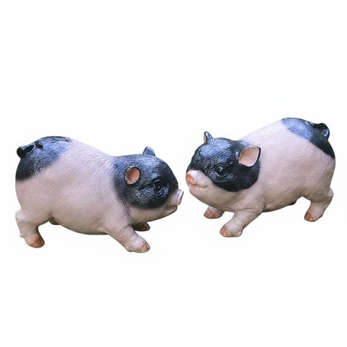 Stücke schweine statue aus - 5,