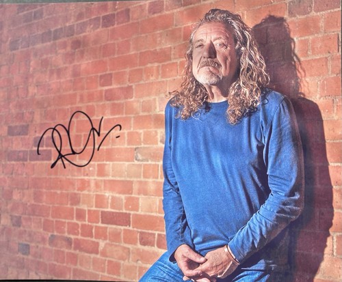 Robert plant led - robert,