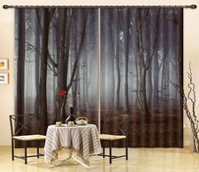 3D Ruhiger Wald ZHUC4964 Foto