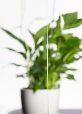 Kühlschrank Einlegeboden Ersatzglasscheibe Gefrierschrank Glasscheibe Glasboden